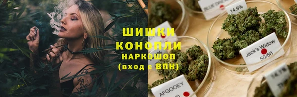 мдпв Богородск