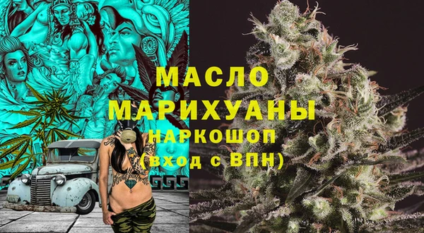 мдпв Богородск