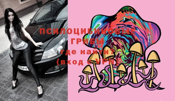 мяу мяу кристалл Богданович