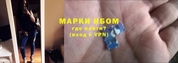 мдпв Богородск