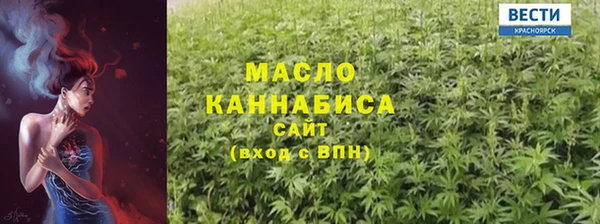 мдпв Богородск
