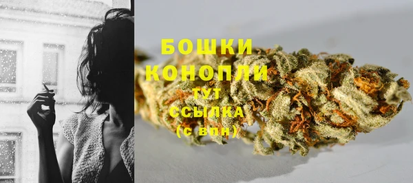 мдпв Богородск