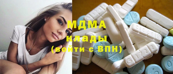 мдпв Богородск